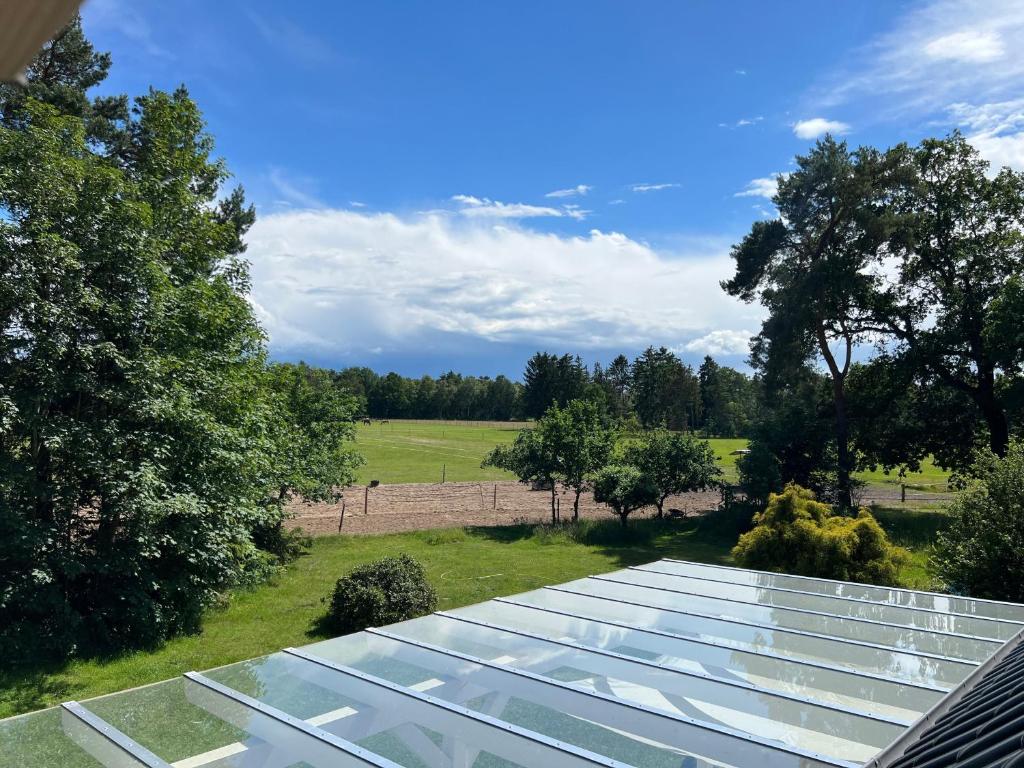 Blick in die grüne Umgebung der Ferienwohnung