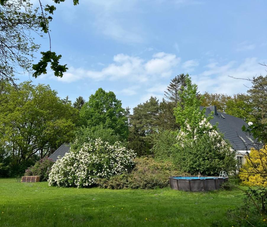 Grüne Umgebung an der Ferienwohnung