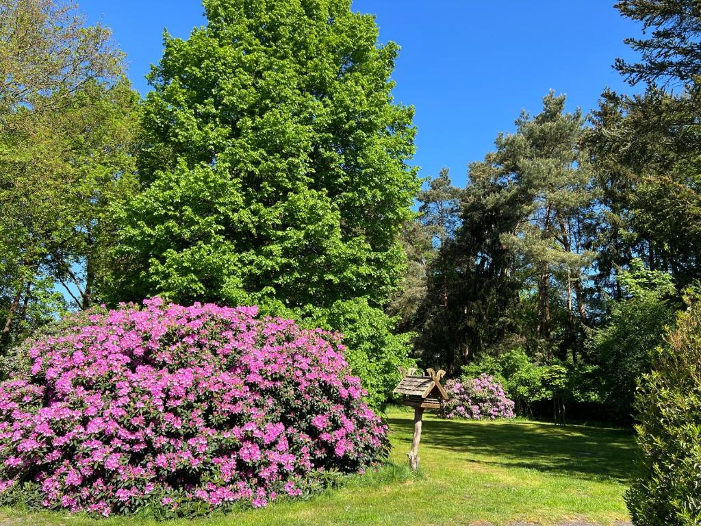 Gartenfläche und Natur an der Unterkunft