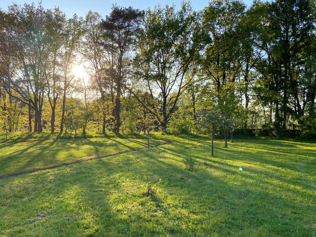Grüner Rückzugsort im Außenbereich
