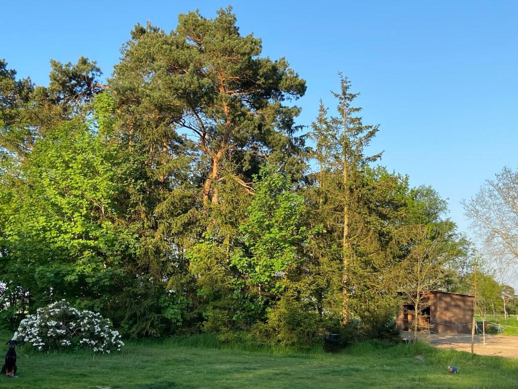 Ruhige Natur rund um die Unterkunft