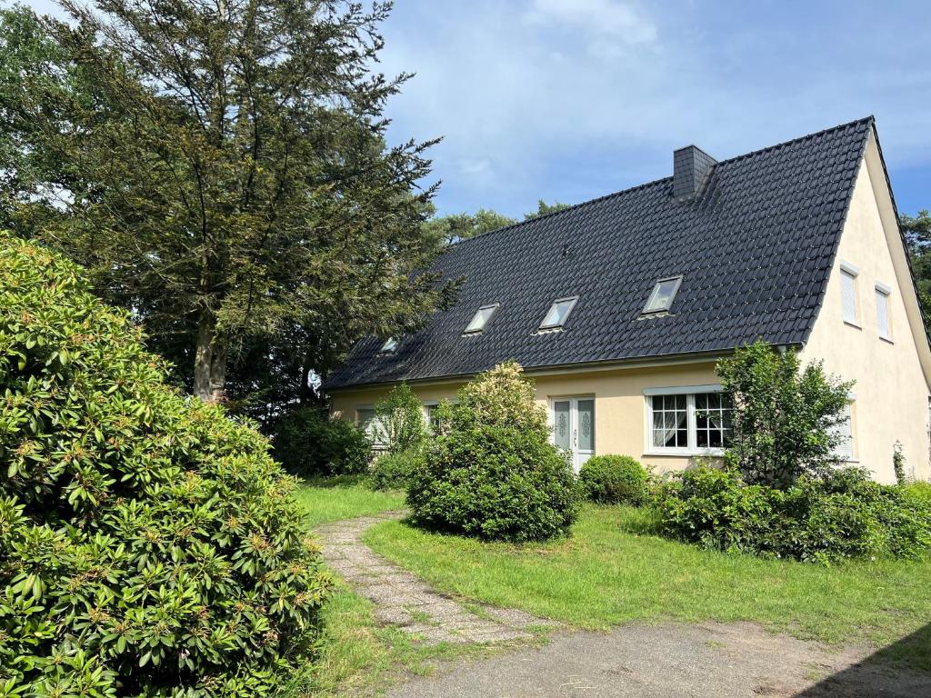 Zugang und Weg am Haus im Grünen